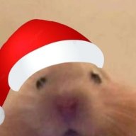 $bunny