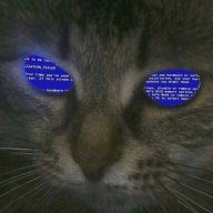 Fuck_Code